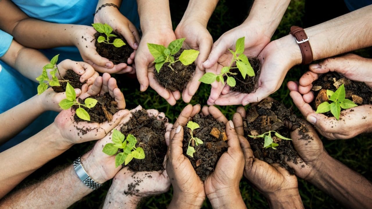 Climate change 101: Let's talk trees and farmers - Vimarsana News