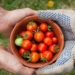 Eating healthy is easier than you'd think. Here are a few cost-effective heart-healthy foods to keep at home.
