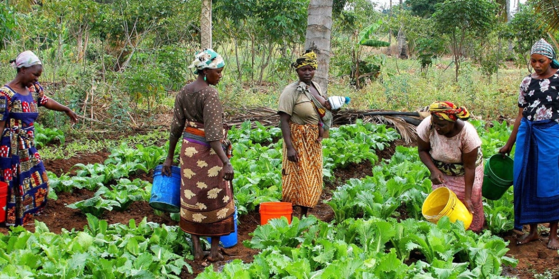 African women in rural and farming communities are often pressured into staying silent over fear of losing household income of perpetrators. Photo: Supplied