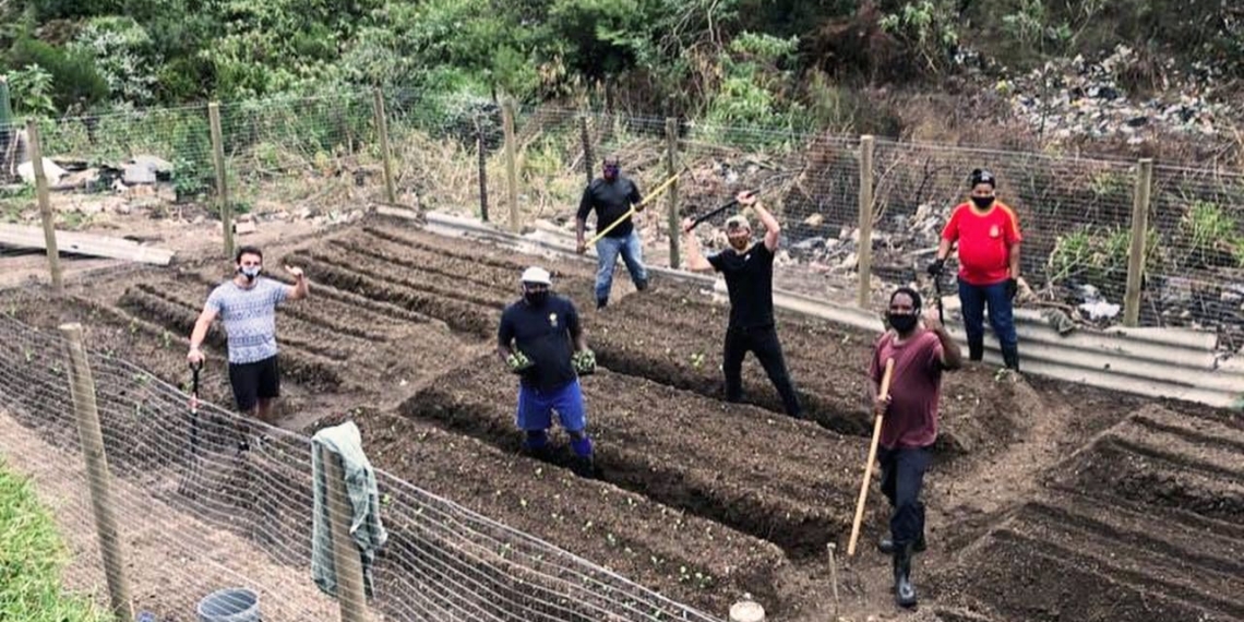 A group of Knysna locals worked tirelessly to transform a rubbish dump into a fresh vegetable garden in just four weeks. Photo: Supplied
