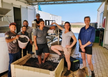 Wine farm workers and unions speak out about impact of alcohol sales ban