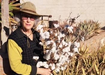 Susan van der Merwe (60) is the reigning cotton queen of the Northern Cape. Photo: Supplied.