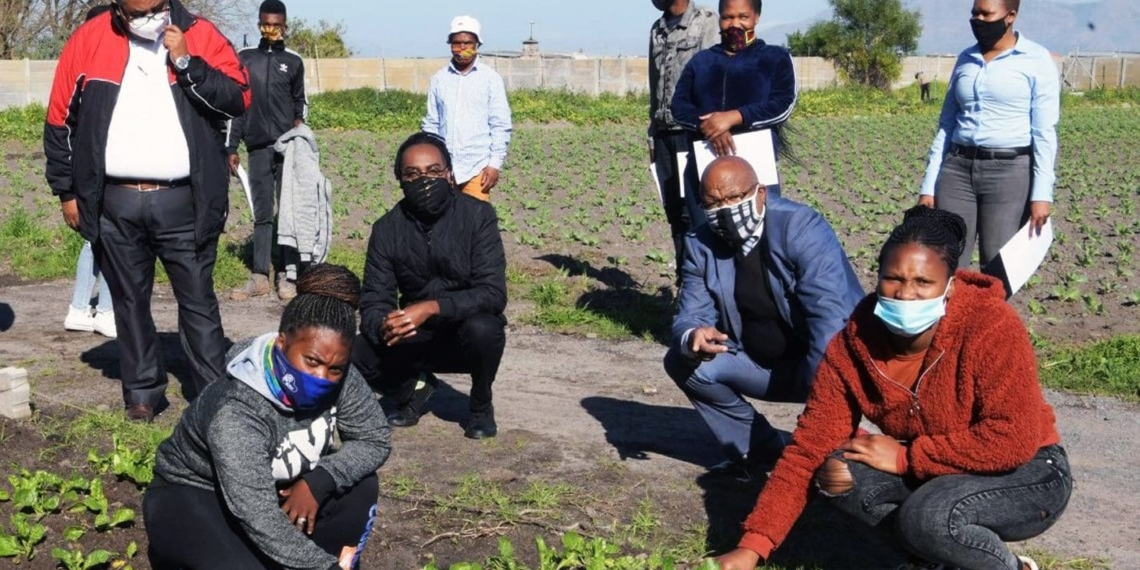 No less than 33 unemployed youth completed the City of Cape Town's Agri-Planner training programme. Photo: Supplied