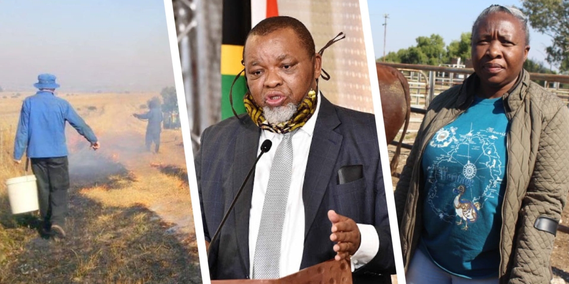 (From left): Minister of Mineral Resources and Energy Gwede Mantashe and MEC - Department of Agriculture & Rural Development - North West Provincial Government. Pictures: Supplied