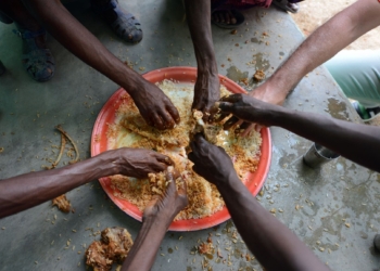 Covid-19: ‘Cultivate underutilised land to boost food security’