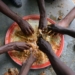 What's missing in school nutrition programmes?
