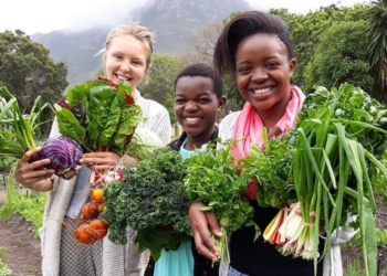 Food clubs: Let’s turn the tables on SA’s deteriorating health