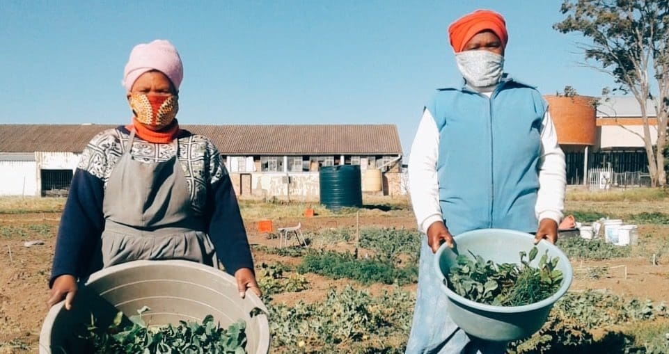 With the goal of fostering food security in Makhanda in the Eastern Cape, RUCE and Food & Trees for Africa launched a series of victory gardens. Photo: FTA/Twitter
