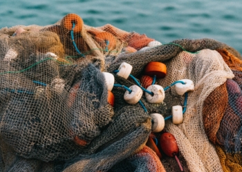 There's a call for governments to champion and empower fishing communities. Photo: Supplied/Unsplash
