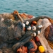 There's a call for governments to champion and empower fishing communities. Photo: Supplied/Unsplash