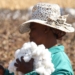 Among the top investments in the cotton industry count new infrastructure and technologies, such as the upgrade of the Loskop Cotton Gin in Marble Hall, Limpopo. Photo: Supplied/Sustainable Cotton Cluster