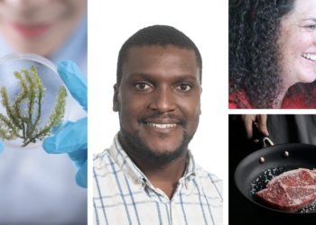 Four things happening in SA agriculture today, 26 August 2020