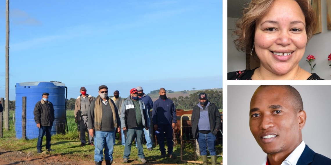 Pictured (left) Western Cape MEC Ivan Meyer boosts small-scale beef producers in the province, (top right) lecturer in plant breeding, Dr Adre Minaar-Ontong, and Dr Sifiso Ntombela of the NAMC. Photo: Supplied