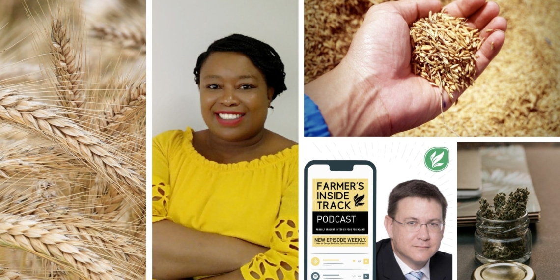 The NAMC has vacancies to fill, EcoMaties celebrates women, structural changes in the grain industry come to the fore, the FIT podcast goes live today and Cheeba Africa hosts cannabis genetics webinar. Photo: Supplied