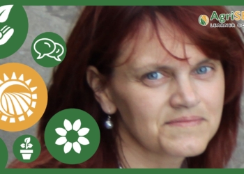 Dr Zelda Bijzet, researcher and plant breeder at the Agricultural Research Council Researcher: Plant breeding, Agricultural Research Council Tropical and Subtropical Crops.
