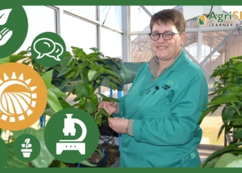 Wilmarié Kriel, senior plant pathologist at Starke Ayres seed company.