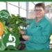 Wilmarié Kriel, senior plant pathologist at Starke Ayres seed company.