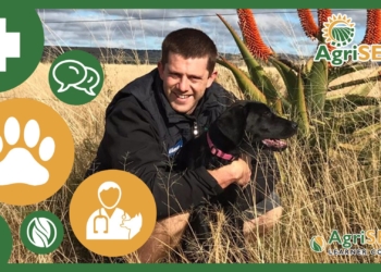 Dr Luca Mendes (32) is a practicing veterinarian at the Ikhala Veterinary Clinic in Makhanda.