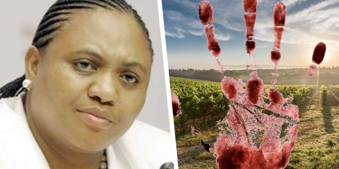 The minister of agriculture, land reform and rural development, Thoko Didiza, says she is deeply concerned about increasing farm attacks. Photo: Supplied