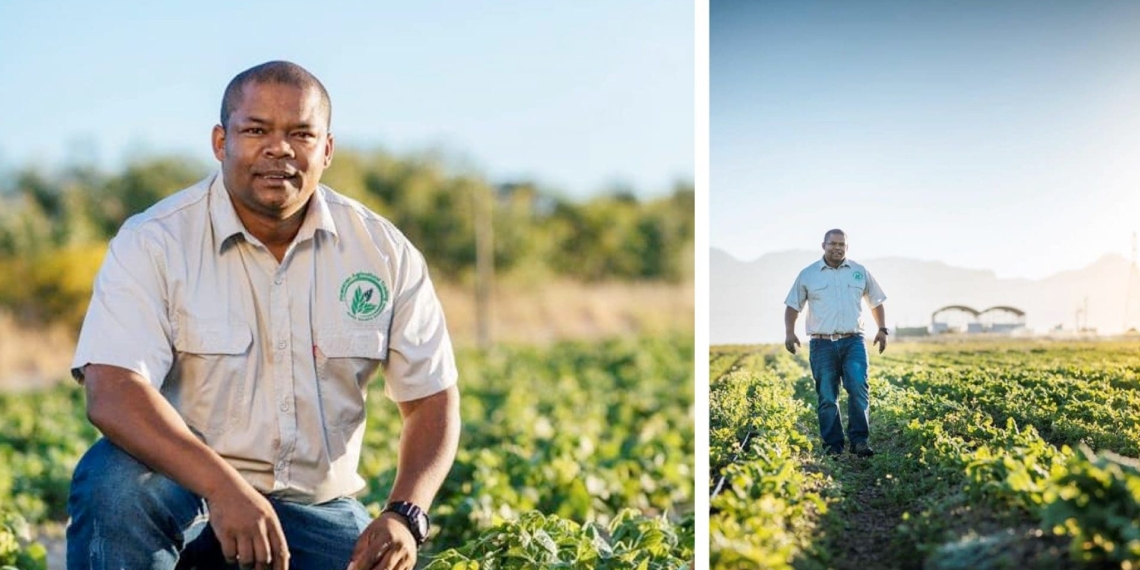 Vegetable farmer Sydney Claassen (40) sacrificed a lot to pursue a career in agriculture. Today he runs a successful 7-hectare farm in Stellenbosch, Western Cape. Photo: Sydney Claassen Facebook.