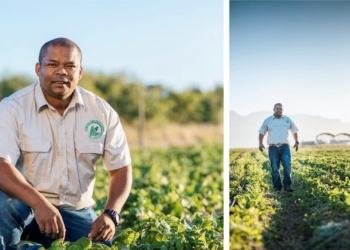 Vegetable farmer Sydney Claassen (40) sacrificed a lot to pursue a career in agriculture. Today he runs a successful 7-hectare farm in Stellenbosch, Western Cape. Photo: Sydney Claassen Facebook.