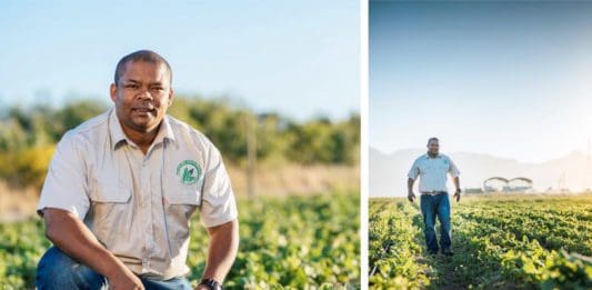 Vegetable farmer Sydney Claassen (40) sacrificed a lot to pursue a career in agriculture. Today he runs a successful 7-hectare farm in Stellenbosch, Western Cape. Photo: Sydney Claassen Facebook.