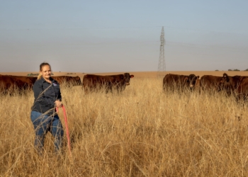 Annalea Van Niekerk (25) stands firm as the only female contender among this year's Free State Agriculture (FS Agri) Young Farmer of the Year. Photo: Supplied