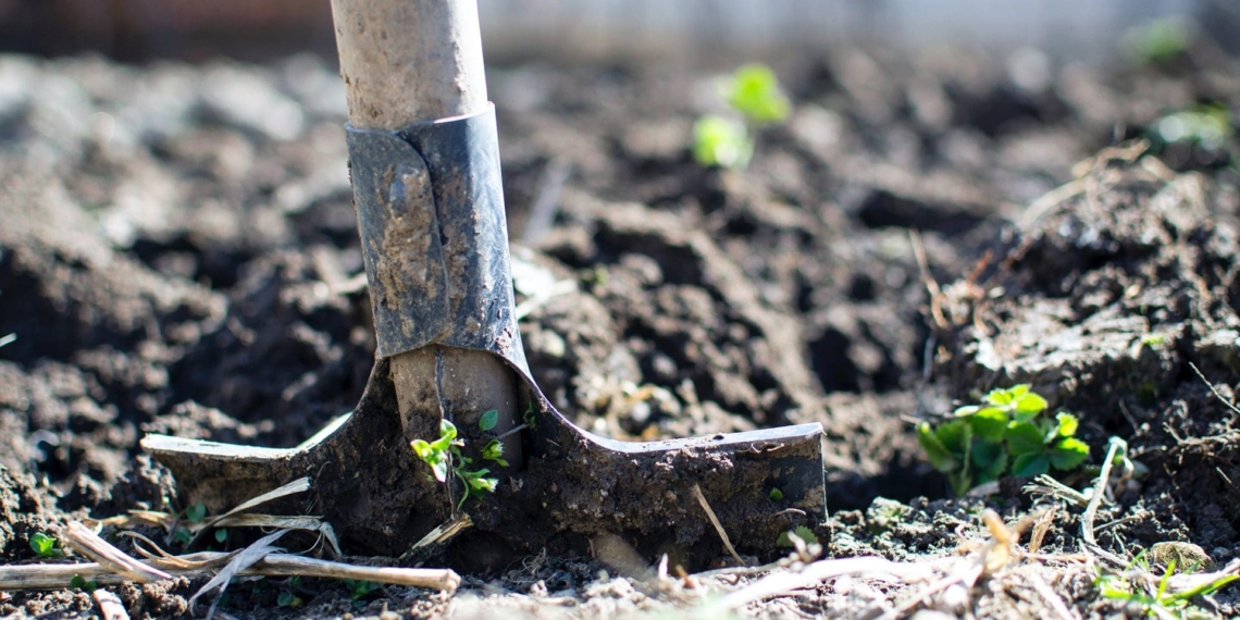 The agricultural sector has largely escaped the clutches of the pandemic, registering a seasonally adjusted growth of 27% in the first quarter of 2020. It seems set to play an important role in economic recovery post-covid-19. Photo: Supplied