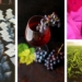 Three things happening in SA agriculture today, 23 September 2020