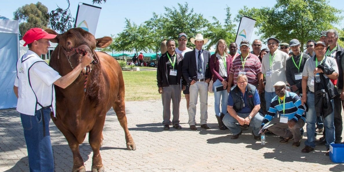 A group of farmers during a previous information day, now known as the Agri-Expo SIYABONGA days. Photo: Supplied