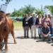 Excitement builds for Agri-Expo’s free virtual farmer days