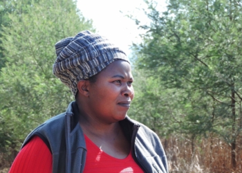 Young women encouraged to take up space in forestry
