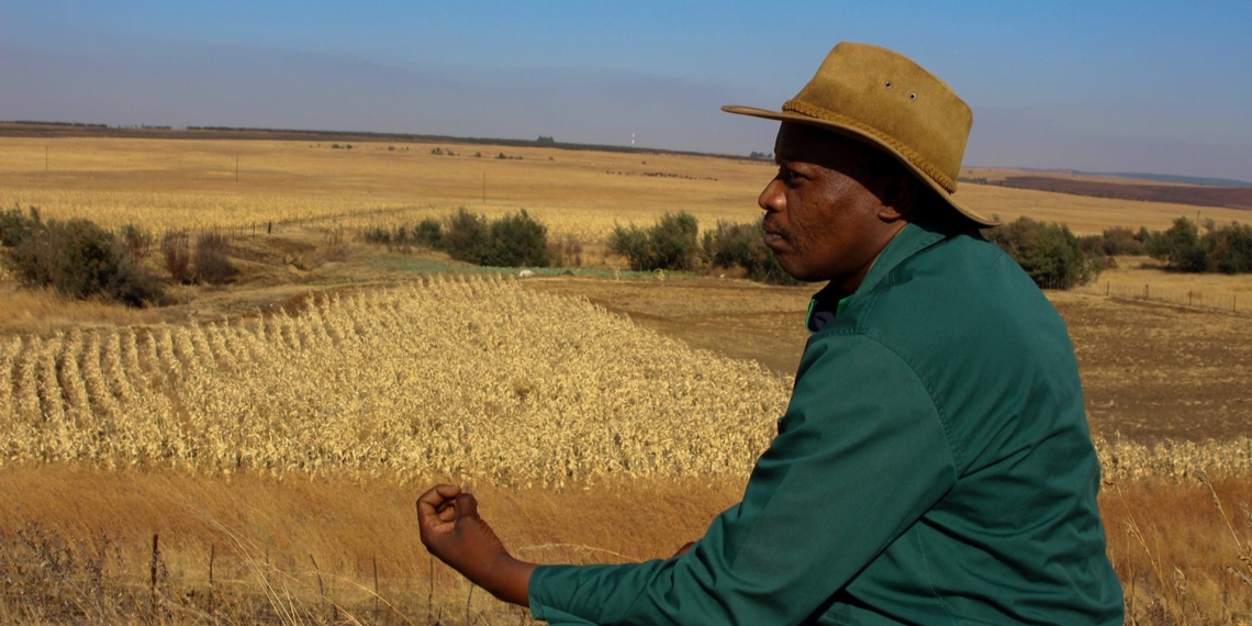 Bongani Dlamini is sitting at an elevated edge next to a vegetable farm in Amsterdam town. The farming cooperative belongs to the group of young people that he’s trained and helped to get access to land for practising agriculture. Photo: Magnificent Mndebele
