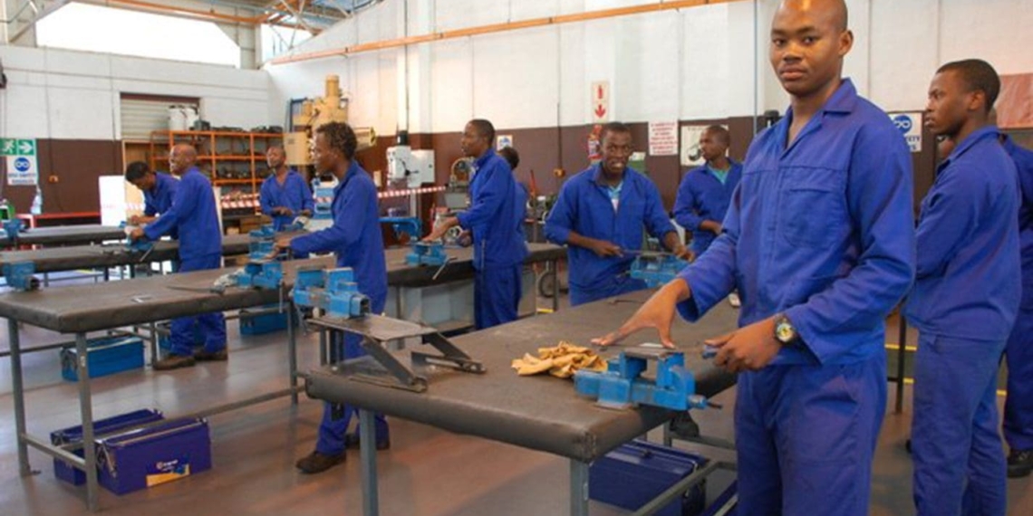 400 artisans are set receive training through the expanded public works programme (EPWP) and AgriSETA. Photo: Supplied