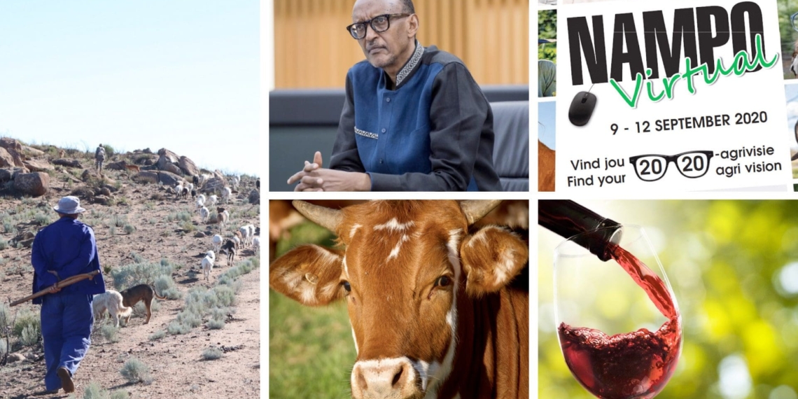 PLAAS tackles issues of land tenure rights, Ugandana Pres. Paul Kagame (pictured) hosts dialogue on the future of Africa, it's Nampo day two and Wine lovers wait with bated breath for the SA Special Report. Photo: Supplied