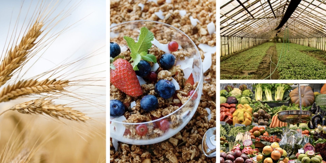 It's day 3 of Grain SA's first virtual Nampo Harvest Day, you are invited to a cereal science and technology symposium, an international webinar on agriculture and horticulture and international experts talk about food systems. Photo: Supplied