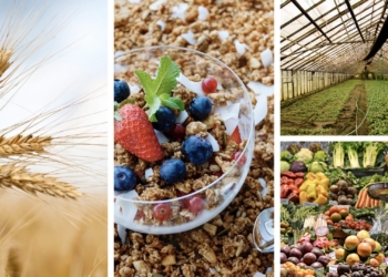 Four things happening in SA agriculture today, 11 September 2020