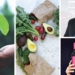 Four things happening in SA agriculture today, 9 September 2020