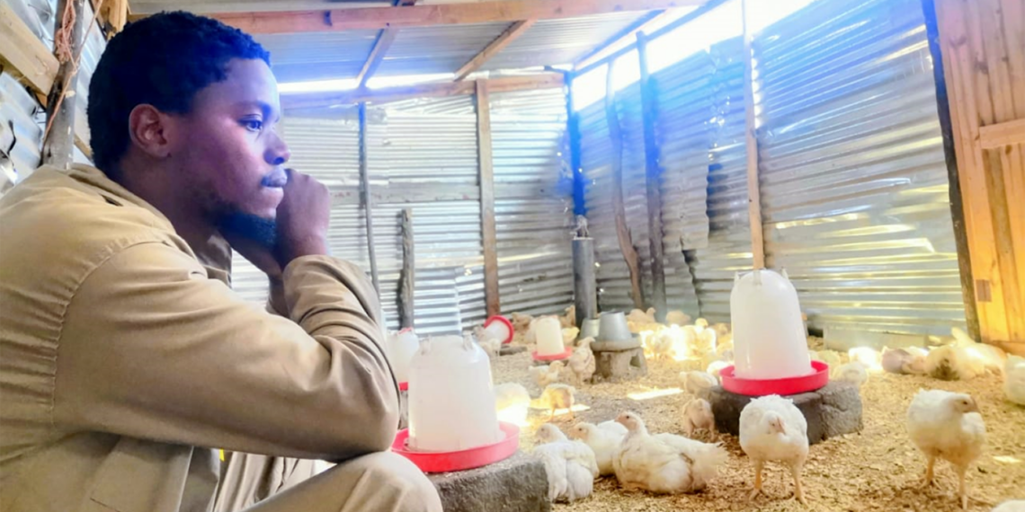 Emmanuel Gumede says in order to succeed in the poultry sector you need passion and you need to give your chickens your undivided attention. Photo: Supplied