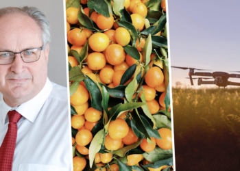 Three things happening in SA agriculture today, 4 September 2020