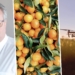 Three things happening in SA agriculture today, 4 September 2020