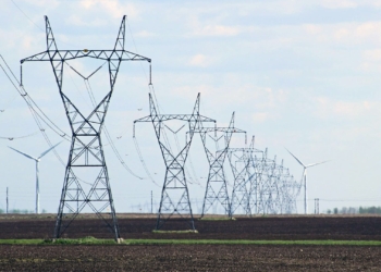 The municipality of Stellenbosch in the Western Cape is expected to be the first to leave the national grid. Photo: SuppliedFood For Mzansi