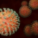 covid-19 corona virus