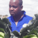 farmer of the future