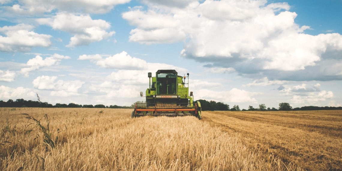 South Africa harvested its second-largest grains harvest on record this season.