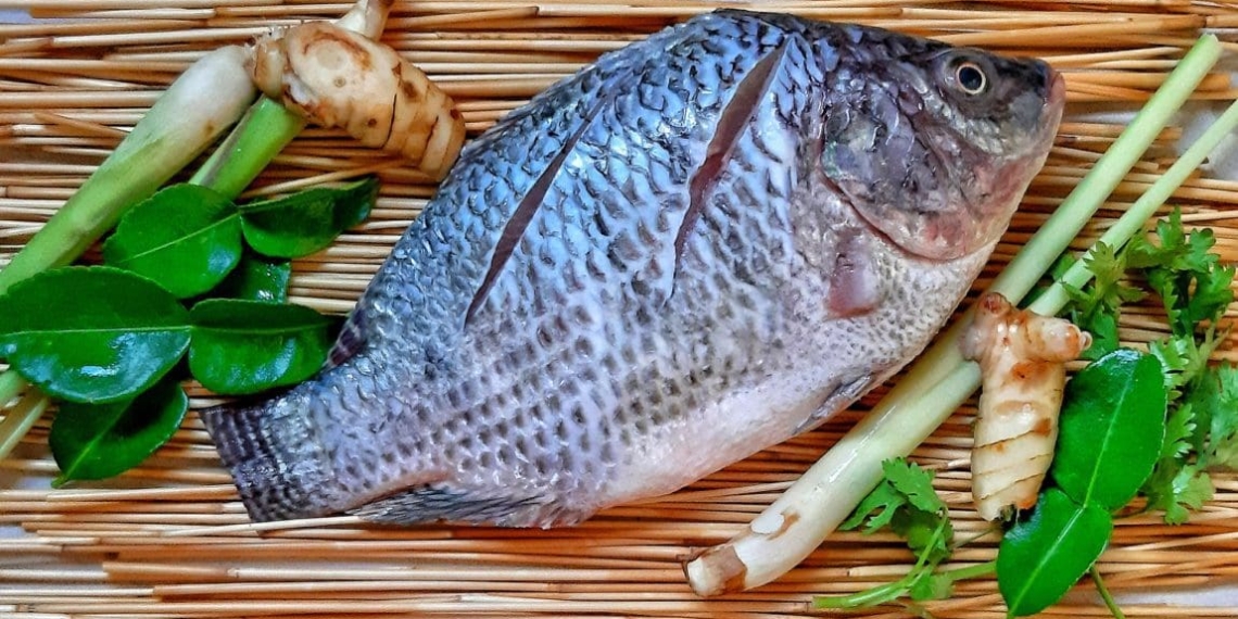 Cheap tilapia imports from China have taken a toll on local fish farmers who are all operating on a small scale here in Mzansi. Photo: Pixabay.