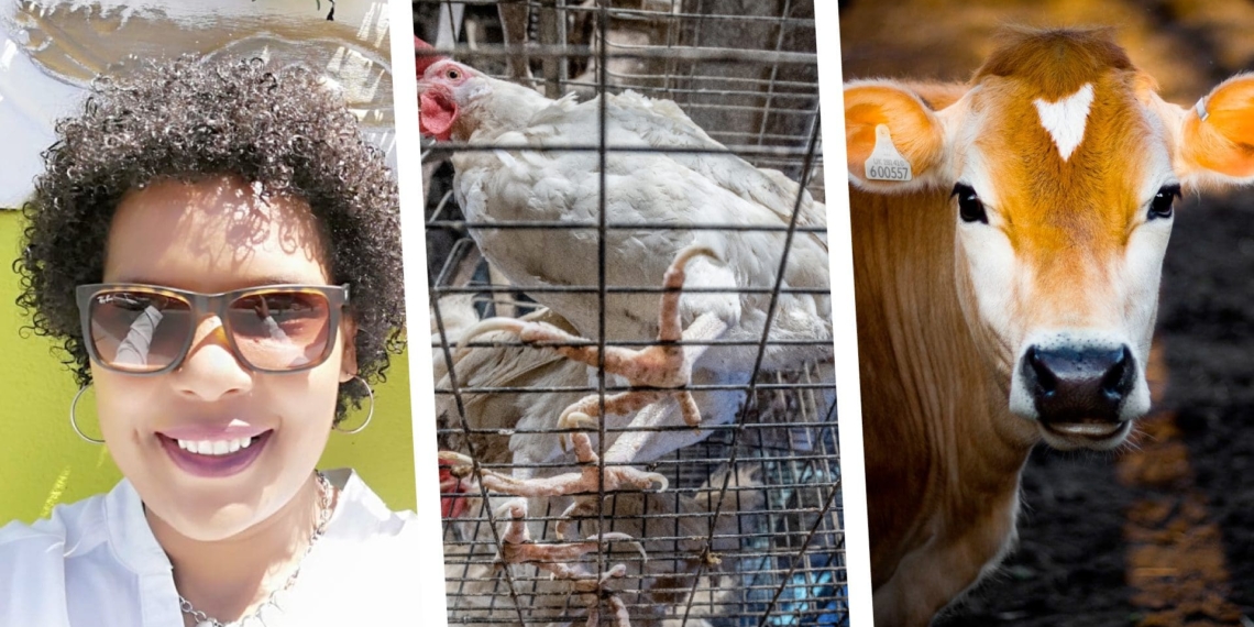 Learn about the optimal management of livestock, meet a research scientist catch up on an episode of the Farmer's Inside Track podcast. Photo: Supplied 