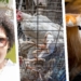 Three things happening in SA agriculture today, 2 October 2020