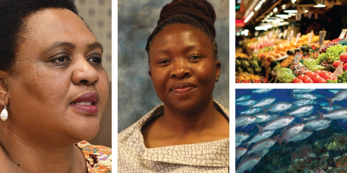 Pictured (from left) are Thoko Didiza, the minister of agriculture, land reform and rural development and Desbo Mohono, North West MEC for agriculture and rural development. Pictures: Supplied.