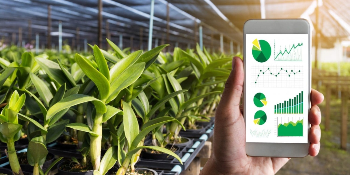 Farmers are urged to be cautious when purchasing items online in the wake of cybercrime in Mzansi. Photo: Supplied/Food For Mzansi